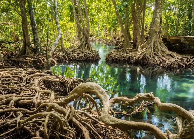 78085998007-20250131-t-152031-z 78085998007-20250131-t-152031-z