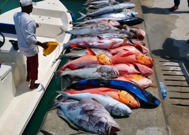 Foto: Fisheries Ministry