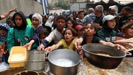 Gaza hunger bhkg