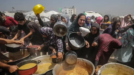 Gaza starvation ccc