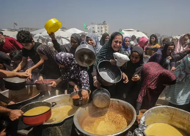 Gaza starvation ccc