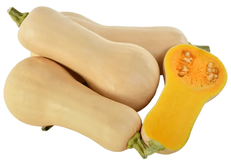 IMG-7ddd8f83ae19056af38eb296c77b