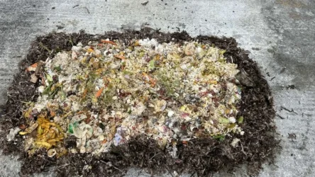 IMG-7ddd8f83ae19056af38eb296c77b