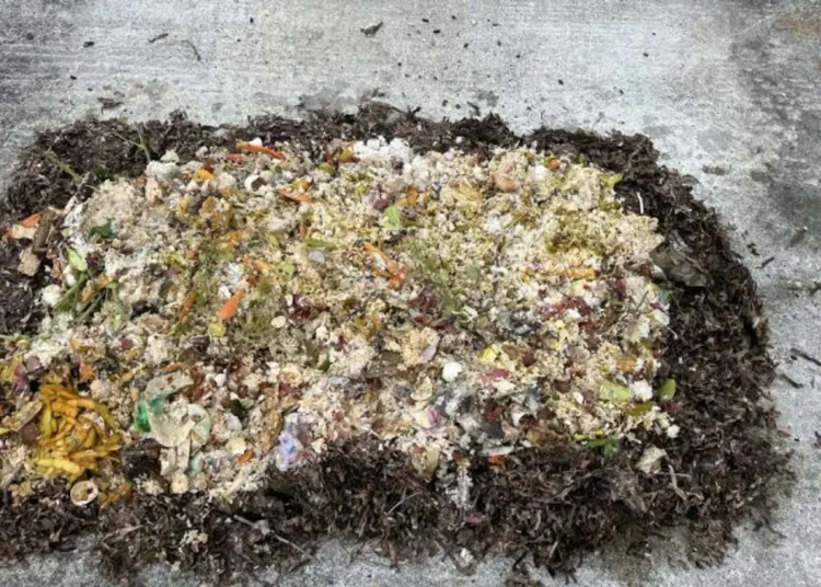 IMG-7ddd8f83ae19056af38eb296c77b