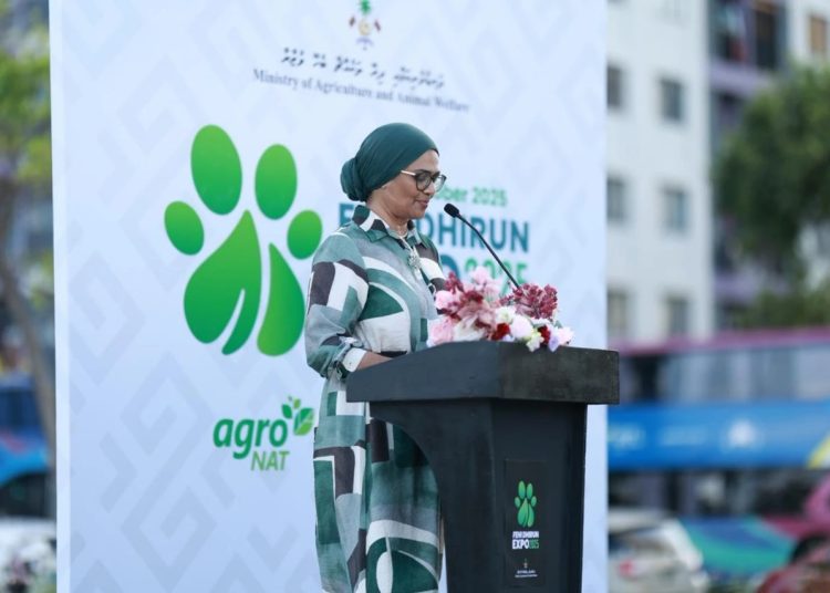 MARIYA AGRI MARIYA AGRI