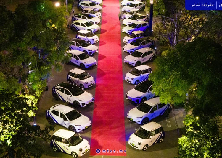 Male TAXI