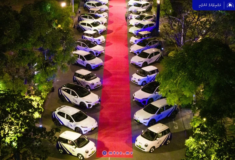 Male TAXI