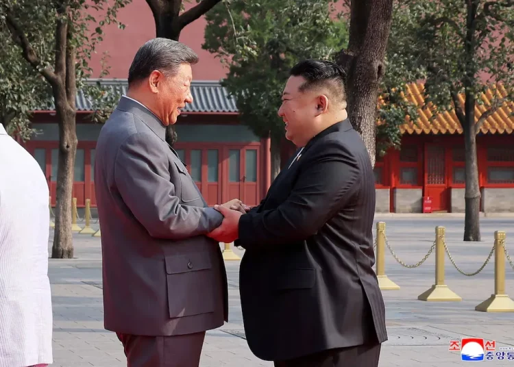 N korea CHI