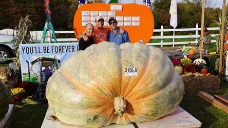 Pumpkin-record