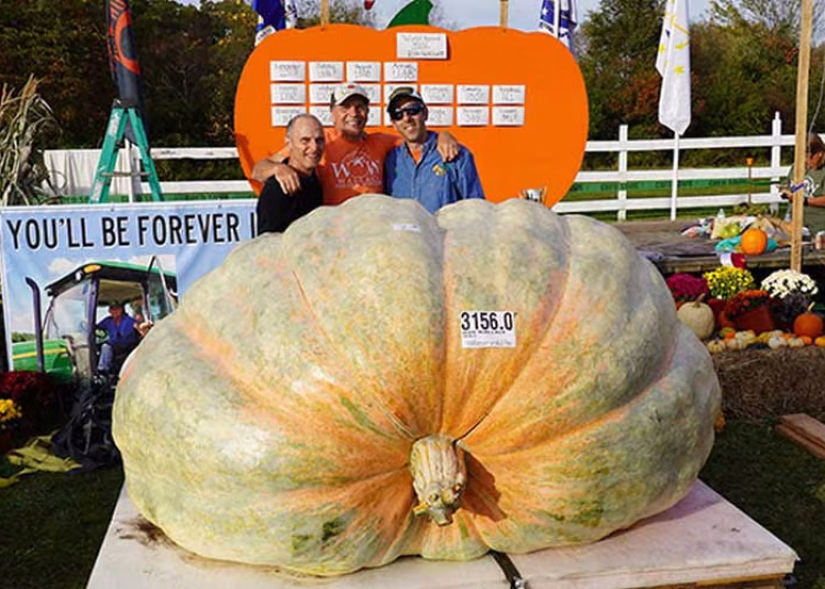 Pumpkin-record