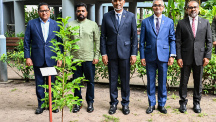 Screenshot 2025-07-30 204849