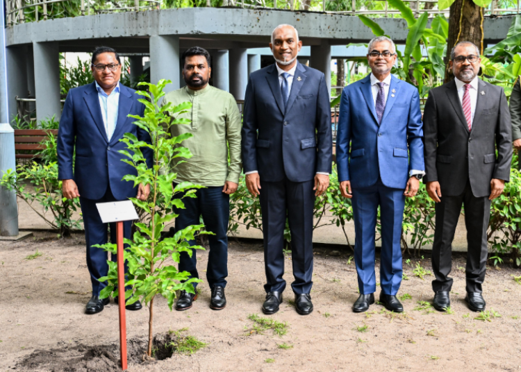 Screenshot 2025-07-30 204849