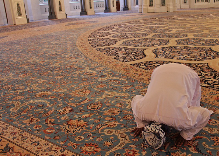 Screenshot 2025-08-05 113744