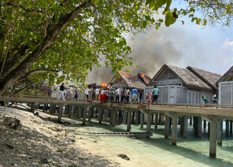 Screenshot 2025-08-11 120019 Screenshot 2025-08-11 120019