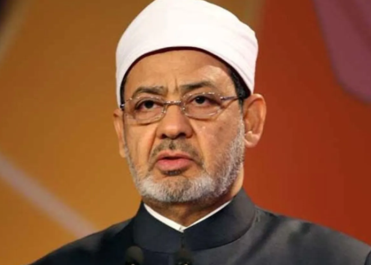 Screenshot 2025-10-25 232107 Screenshot 2025-10-25 232107