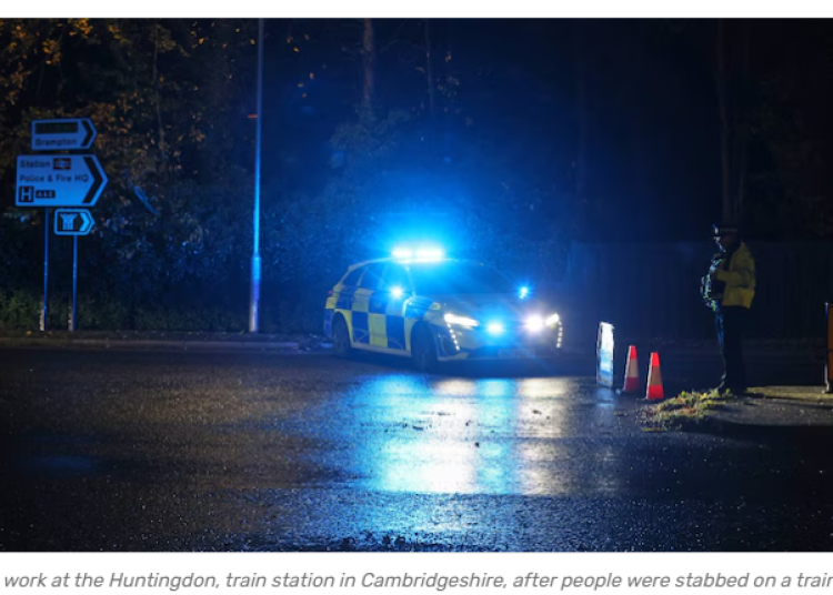 Screenshot 2025-11-02 054017 Screenshot 2025-11-02 054017