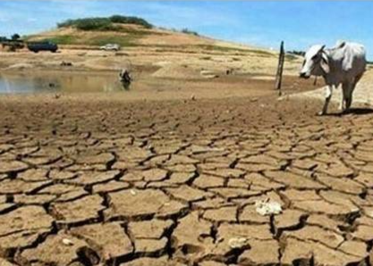 Screenshot 2025-11-08 070634 Screenshot 2025-11-08 070634