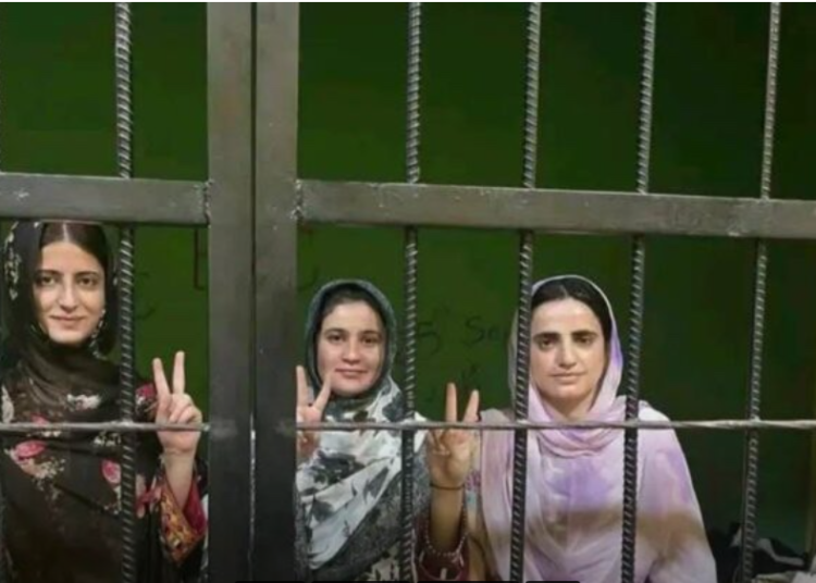 Screenshot 2025-11-08 191118