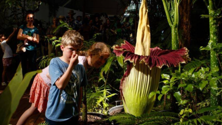 Screenshot 2025-11-10 083553