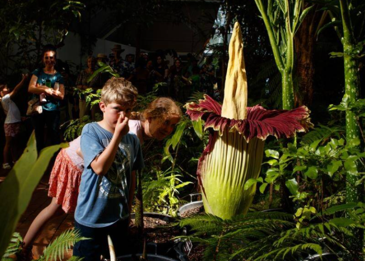 Screenshot 2025-11-10 083553