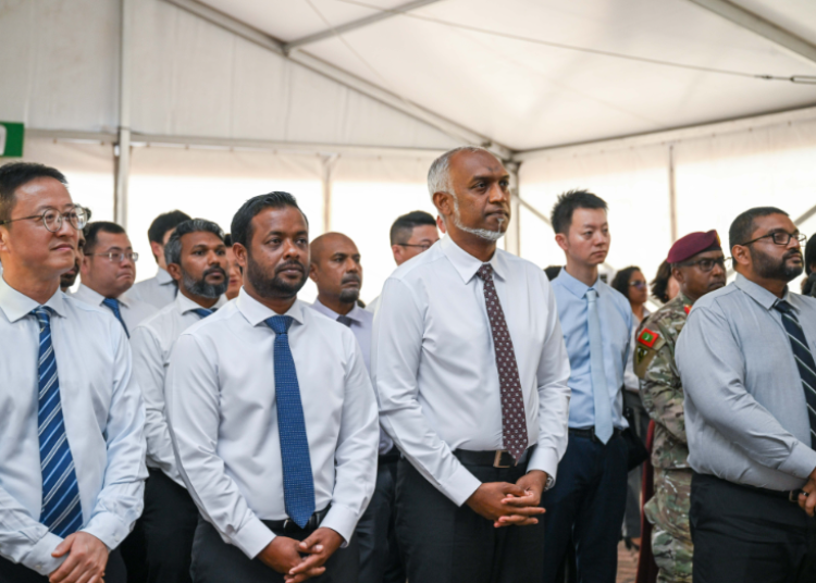 Screenshot 2025-11-10 194706 Screenshot 2025-11-10 194706