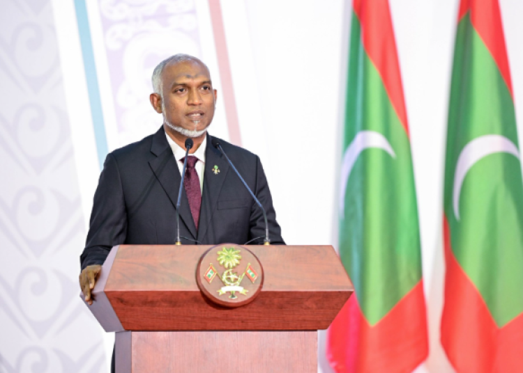 Screenshot 2025-11-11 171214