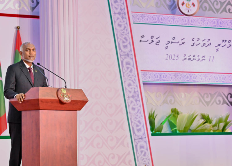 Screenshot 2025-11-11 172348 Screenshot 2025-11-11 172348