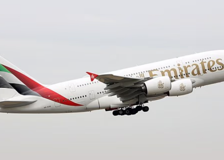 Screenshot 2025-11-17 210126