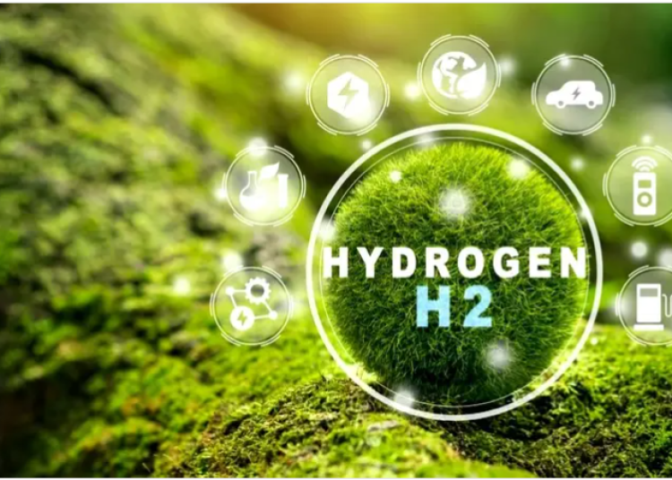 Screenshot 2025-11-18 223657