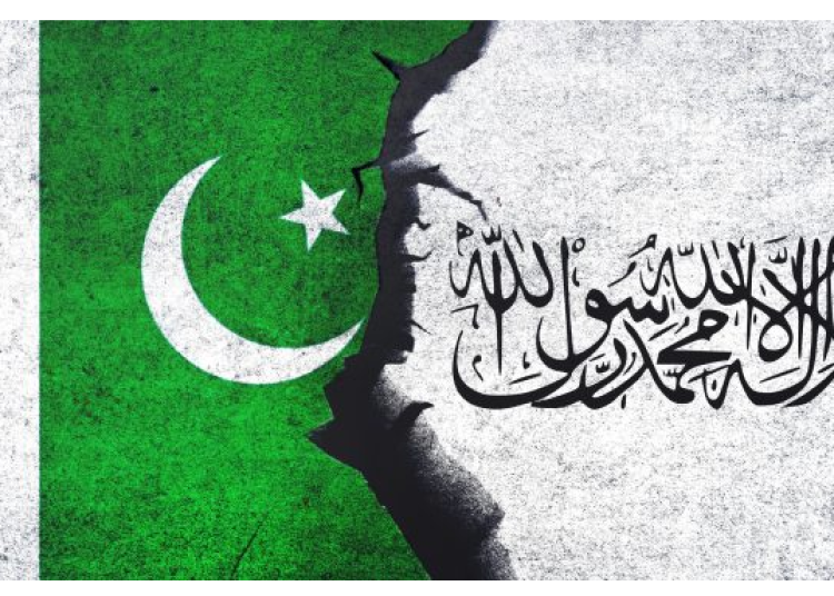 Screenshot 2025-11-23 191711 Screenshot 2025-11-23 191711