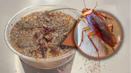 Screenshot 2025-11-24 161630 Screenshot 2025-11-24 161630