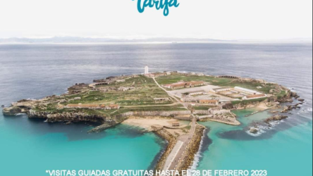 Screenshot 2025-11-24 202145