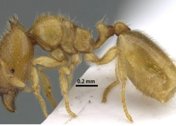 Screenshot 2025-11-26 075122