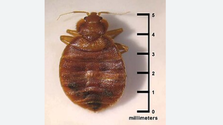 Screenshot 2025-11-26 141955