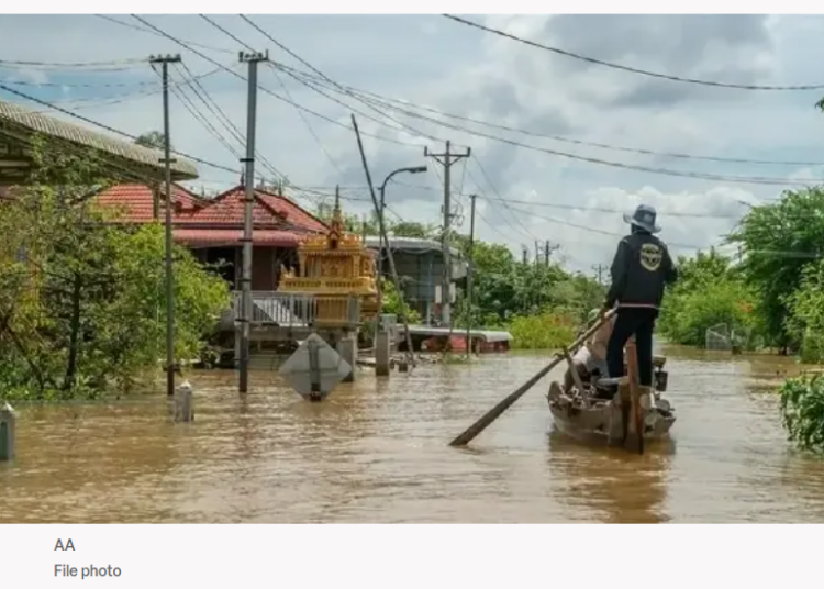 Screenshot 2025-11-28 175854 Screenshot 2025-11-28 175854