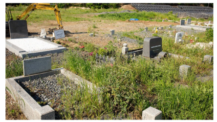 Screenshot 2025-11-29 154933