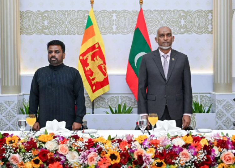 Screenshot 2025-11-29 163942 Screenshot 2025-11-29 163942