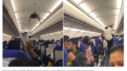 Screenshot 2025-12-08 191718 Screenshot 2025-12-08 191718