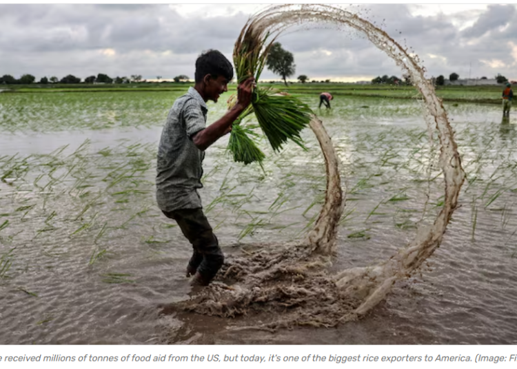 Screenshot 2025-12-10 102728 Screenshot 2025-12-10 102728