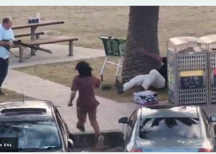 Screenshot 2025-12-14 201844 Screenshot 2025-12-14 201844