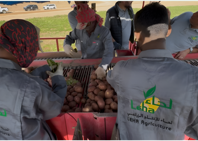 Screenshot 2026-01-01 073733