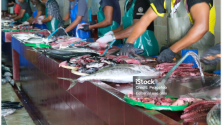 fish
