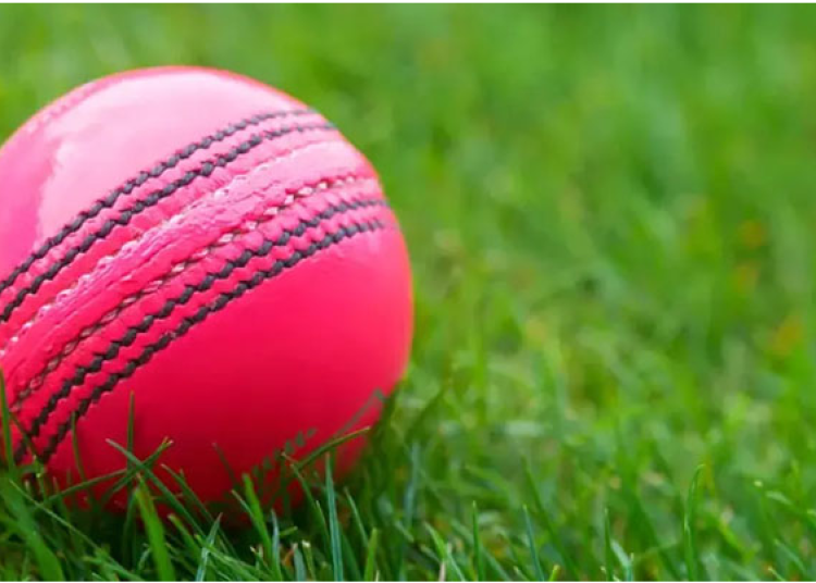 cricket