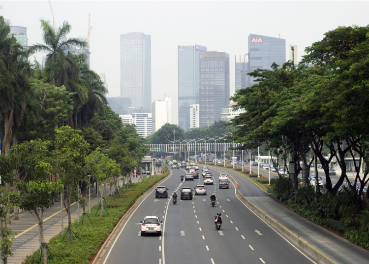 indo