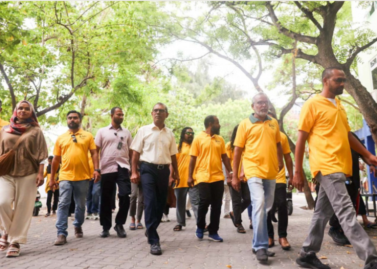 mdp mdp