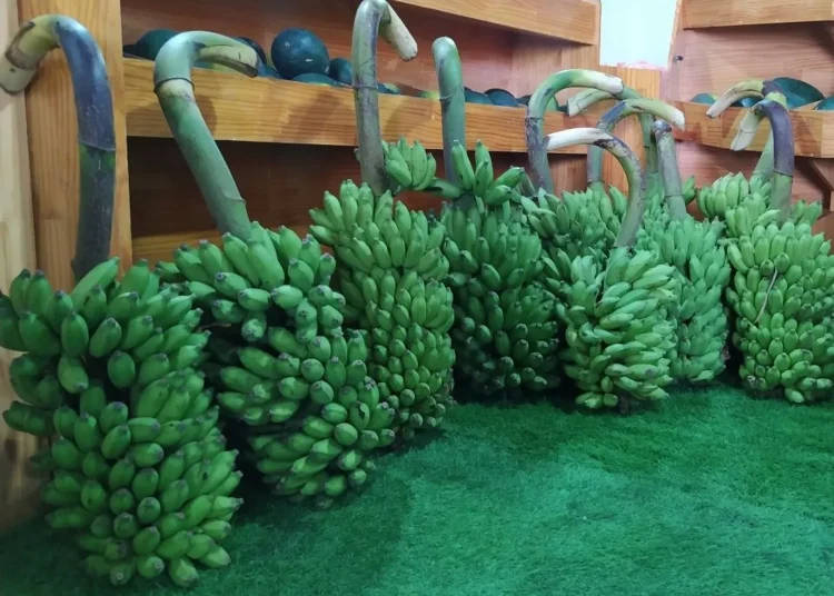 WhatsApp Image 2025-01-14 at 10