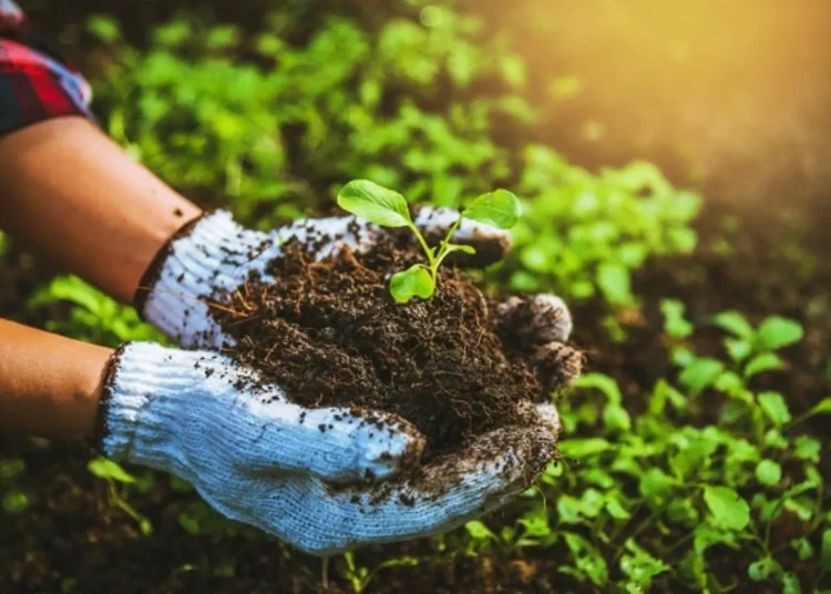 WhatsApp Image 2025-01-14 at 10