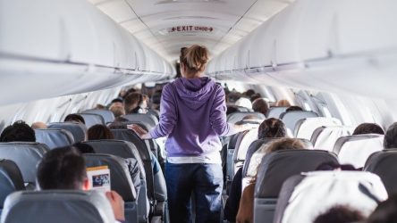 airline inside sitting passengers