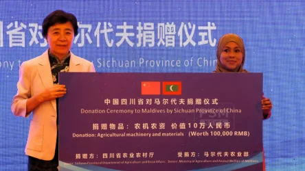 big_s62cQR6aY3k3Vu4AOAwiTktEl