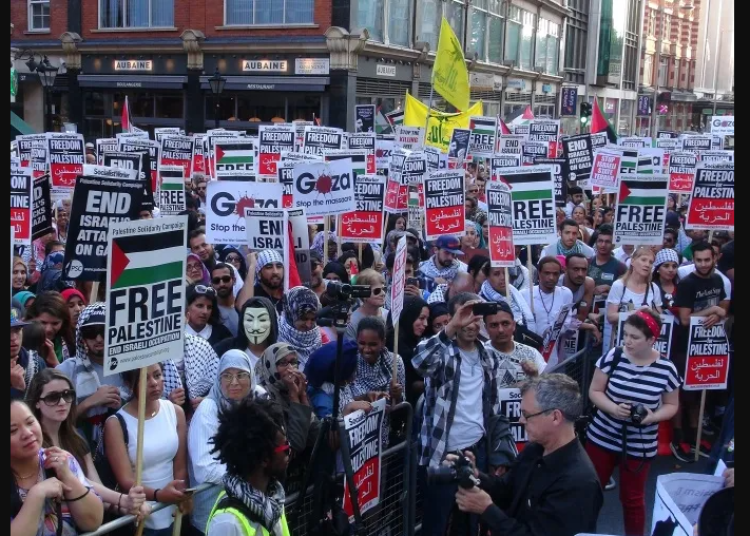 demo gaza